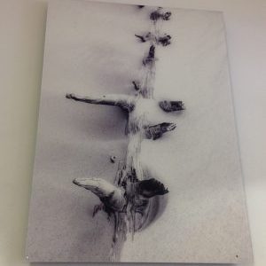 Perspex Photography Print