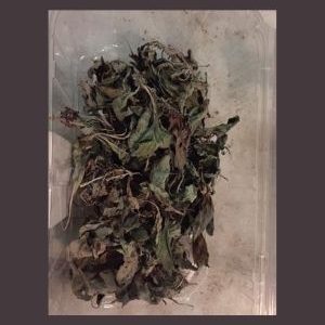 Salvia Apiana Dried White Sage per 10g