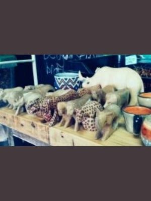 Wooden African Animals