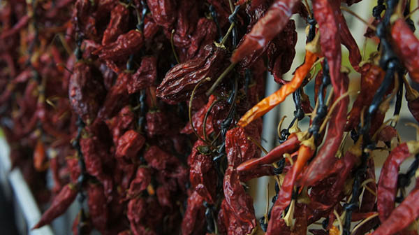Chilli Chilli Blog